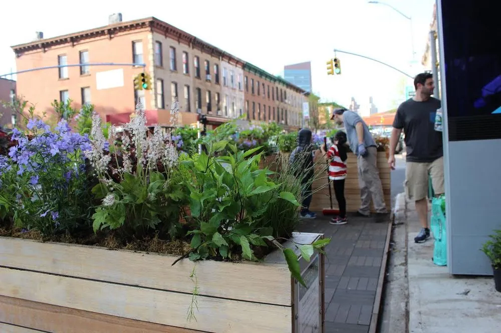 Expert landscaping services in Brooklyn, NY - Native NY Gardens