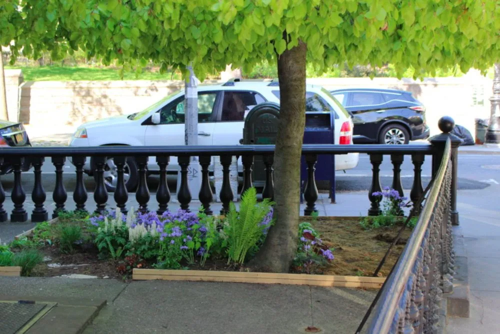 Trusted lawn care service experts serving Brooklyn, NY - Native NY Gardens