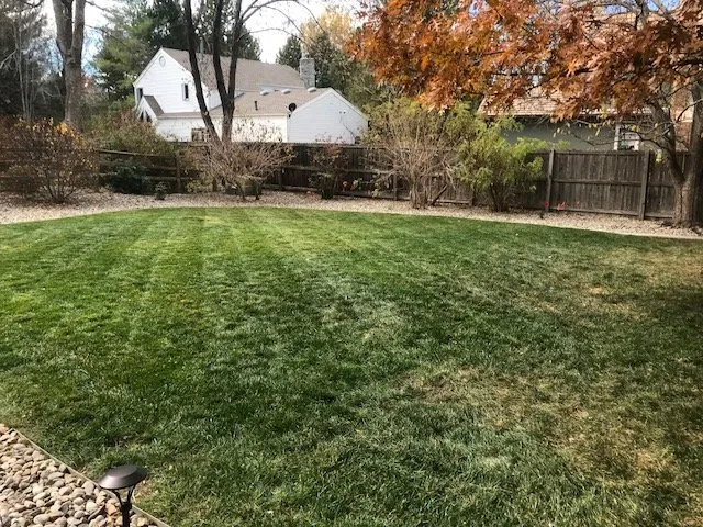 Top-rated lawn mowing service experts serving Littleton, CO - Native Outdoor Care