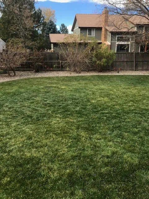 Reliable yard maintenance for outdoor upgrades in Littleton, CO by Native Outdoor Care