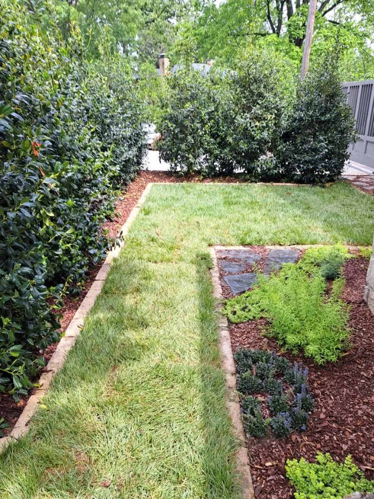 Professional lawn care service in Tulsa, OK by Native Outdoor Living