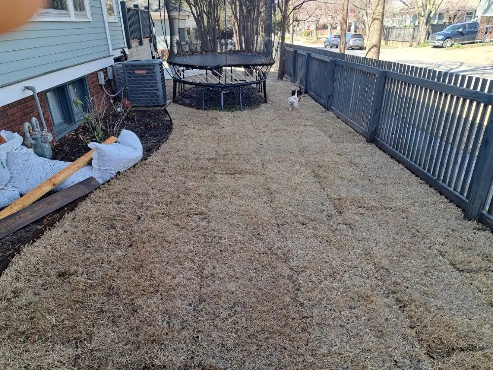 Professional yard maintenance in Tulsa, OK by Native Outdoor Living