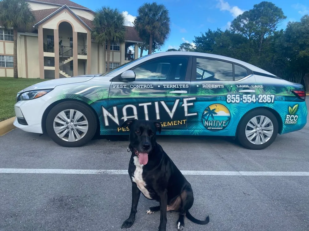 Professional yard maintenance in Melbourne, FL - Native Pest Management