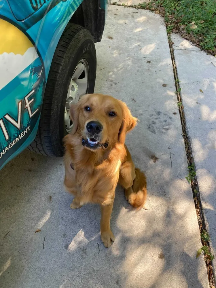 Expert yard maintenance near you in Melbourne, FL by Native Pest Management