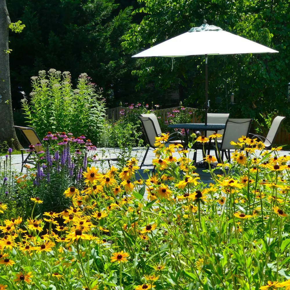 Local landscaping services for homes in North Potomac, MD by Native Plant Scapes