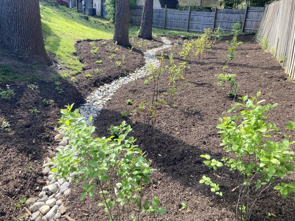 Trusted garden landscaping experts serving North Potomac, MD - Native Plant Scapes