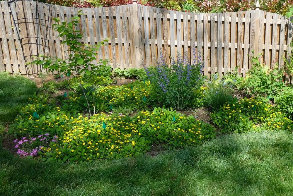 Trusted garden landscaping experts serving North Potomac, MD - Native Plant Scapes