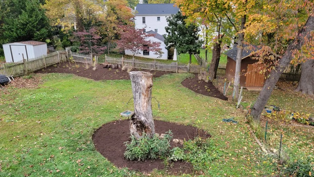 Local outdoor landscaping in North Potomac, MD by Native Plant Scapes