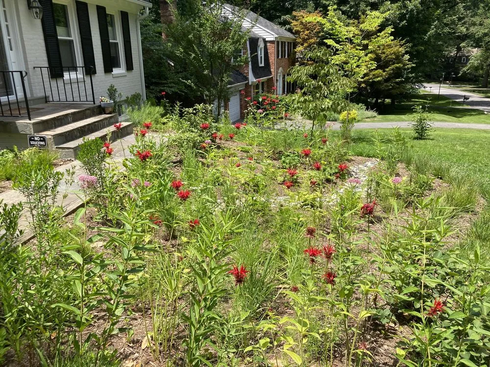 Trusted garden landscaping for residential properties across North Potomac, MD - Native Plant Scapes