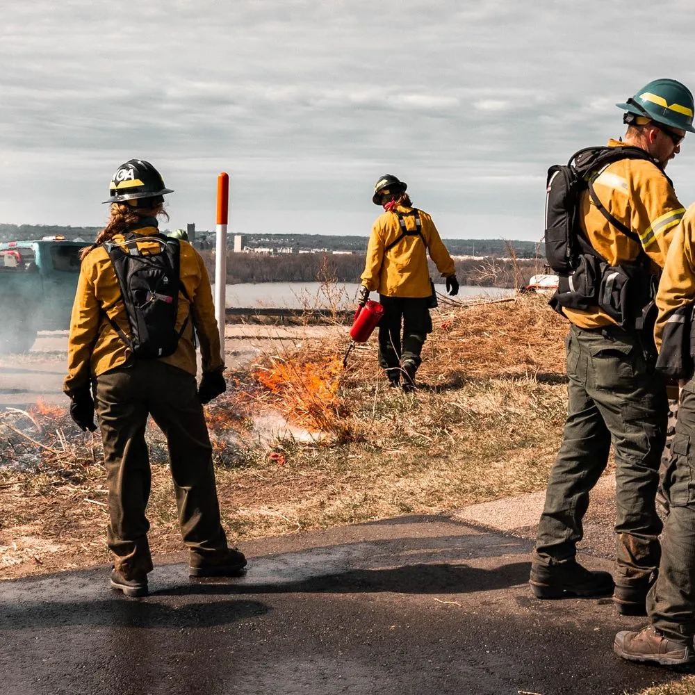 Reliable landscape installation experts serving West Saint Paul, MN - Native Resource Preservation