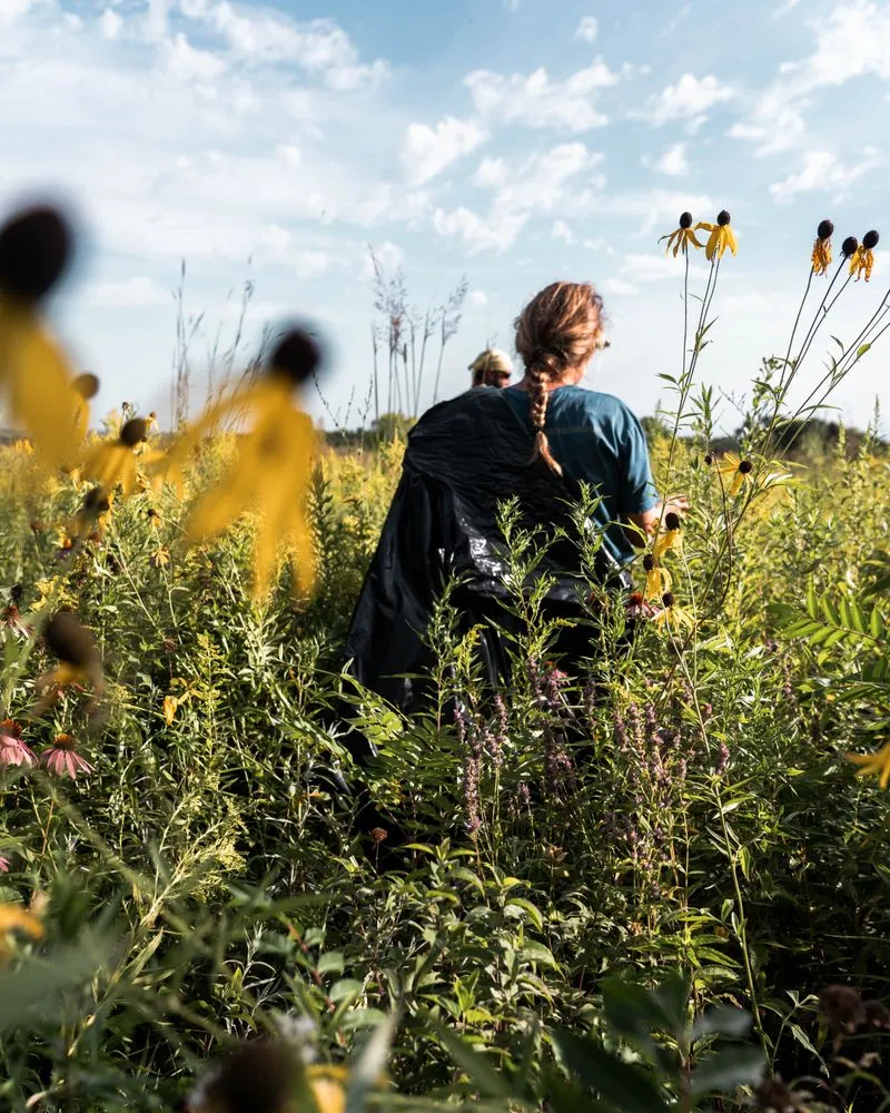 Reliable landscape design in West Saint Paul, MN - Native Resource Preservation