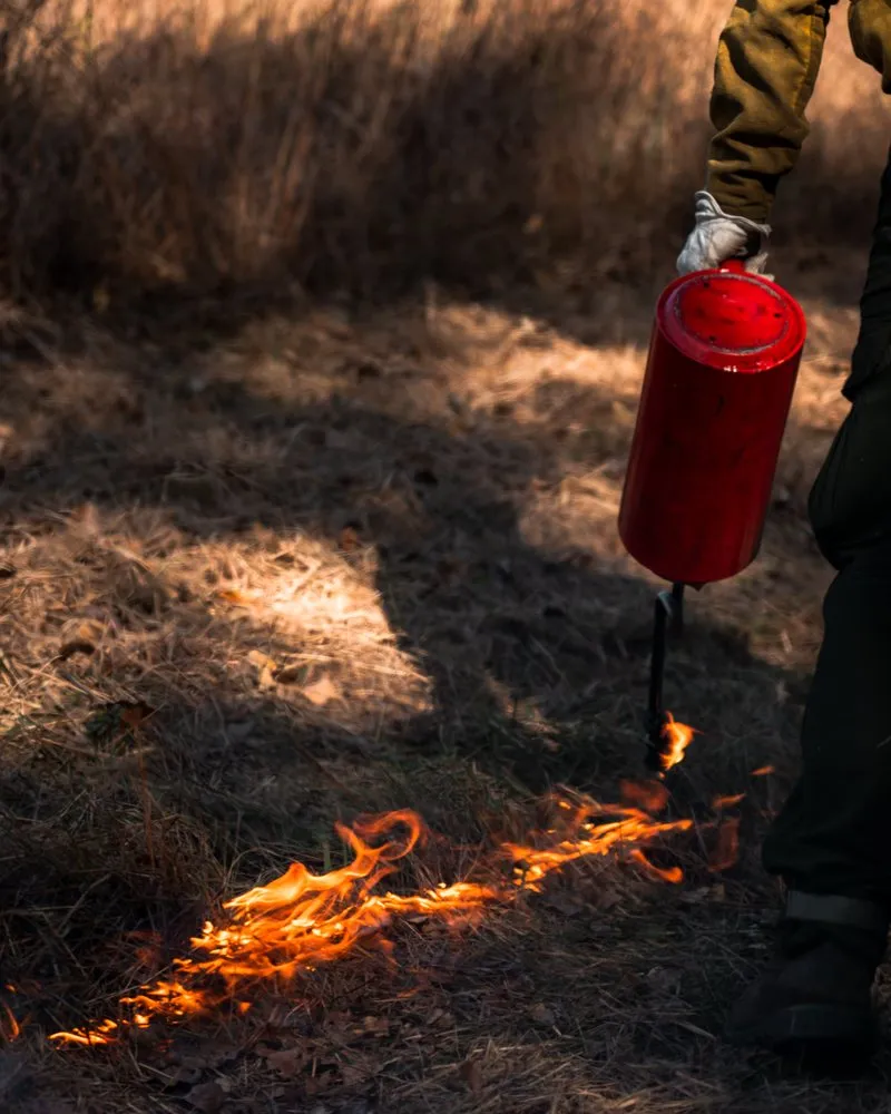 Trusted lawn care service for year-round maintenance in West Saint Paul, MN by Native Resource Preservation