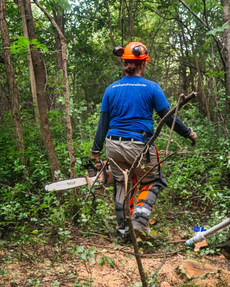 Trusted lawn mowing service for outdoor upgrades across West Saint Paul, MN - Native Resource Preservation