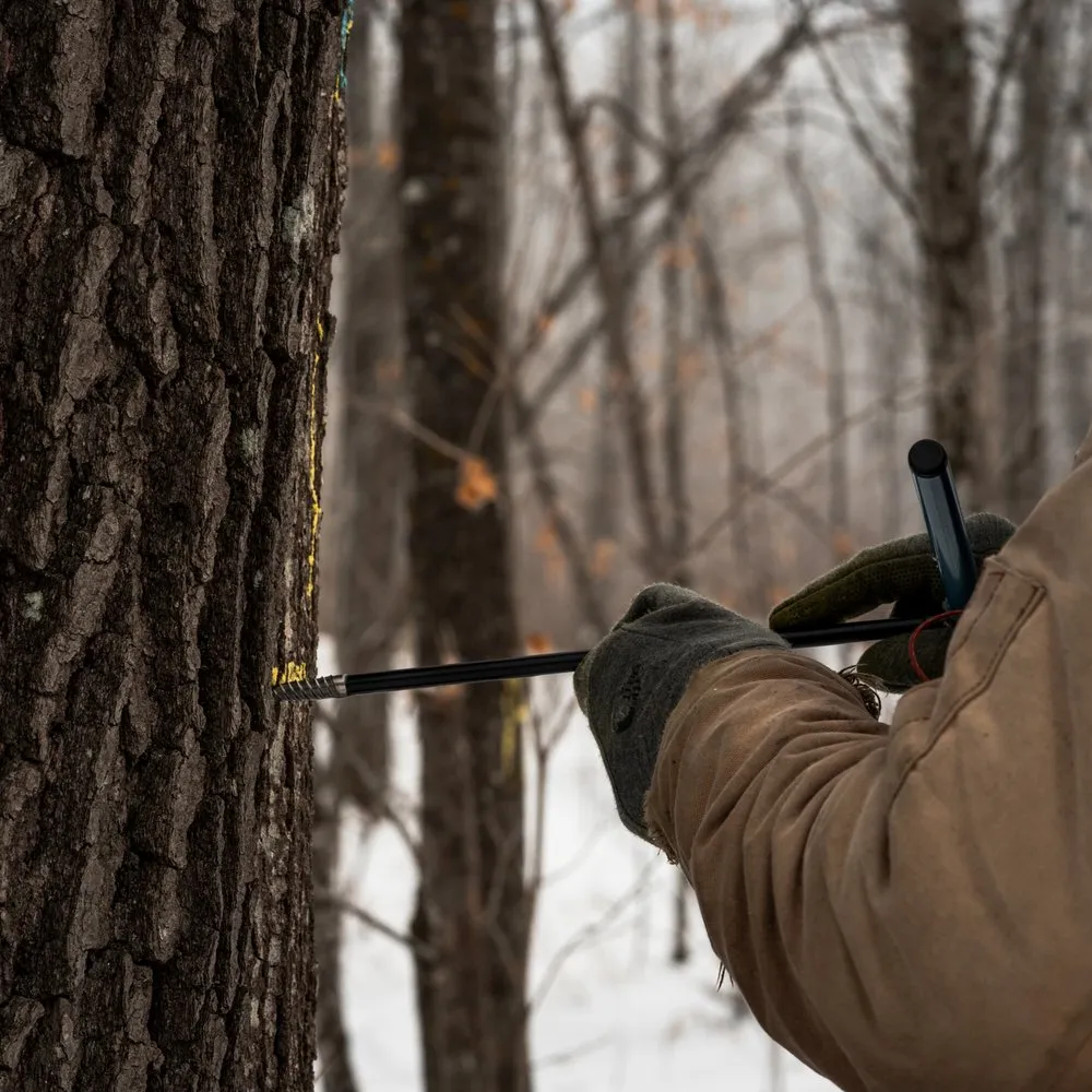 Expert yard cleanup service for beautiful yards in West Saint Paul, MN by Native Resource Preservation
