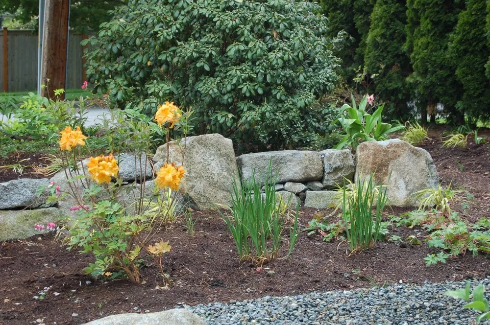 Local yard maintenance for homes across Poulsbo, WA - Native Root Designs, LLC