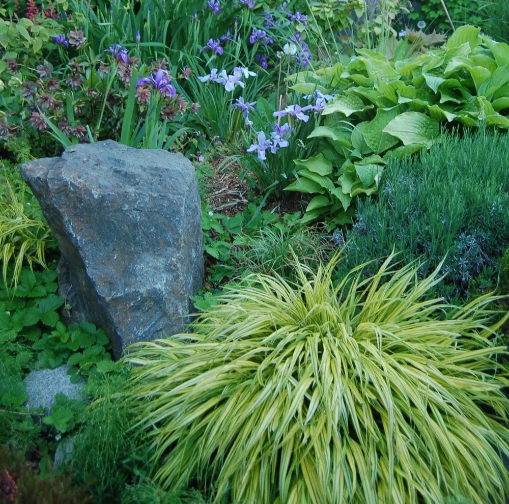 Affordable residential landscaping experts serving Poulsbo, WA - Native Root Designs, LLC