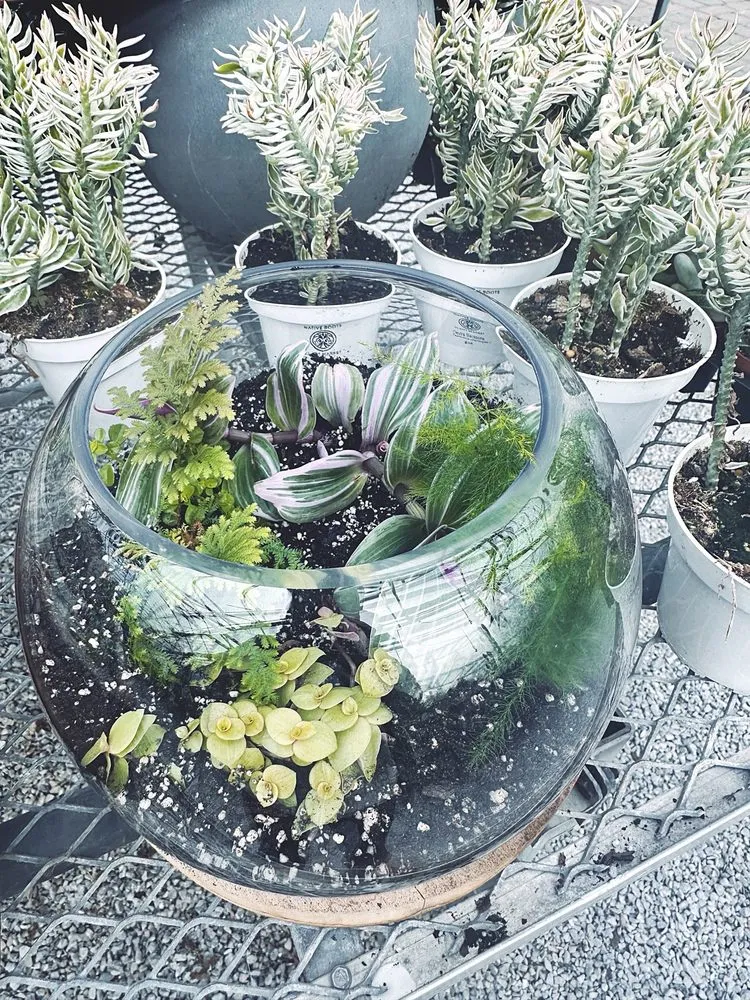 Expert lawn mowing service in Cincinnati, OH by Native Roots