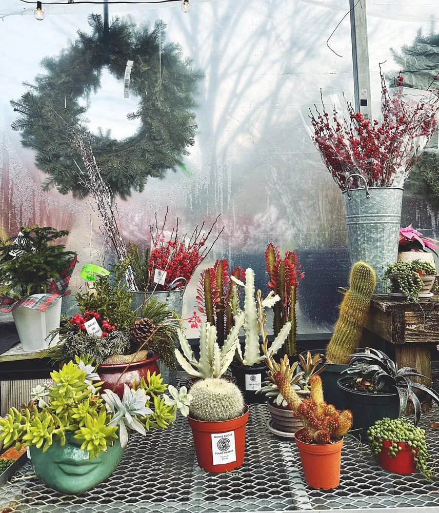 Top-rated residential landscaping in Cincinnati, OH by Native Roots