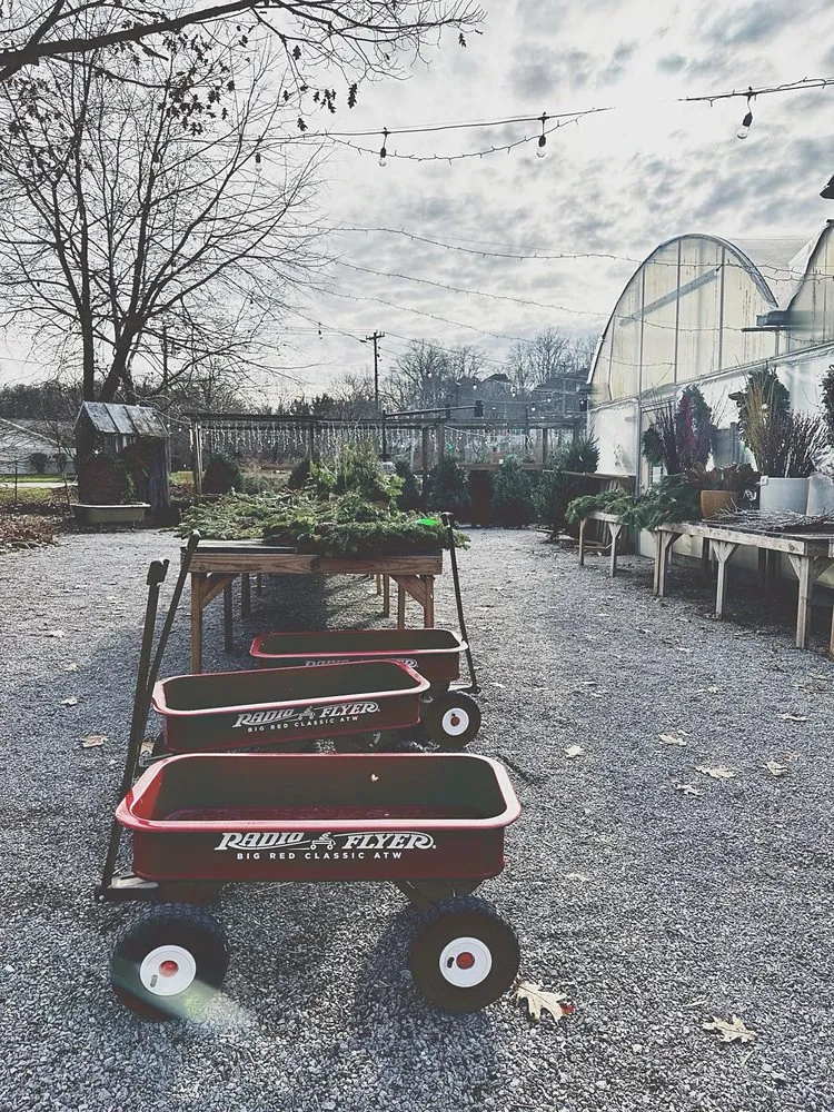 Reliable landscape installation with custom design in Cincinnati, OH by Native Roots
