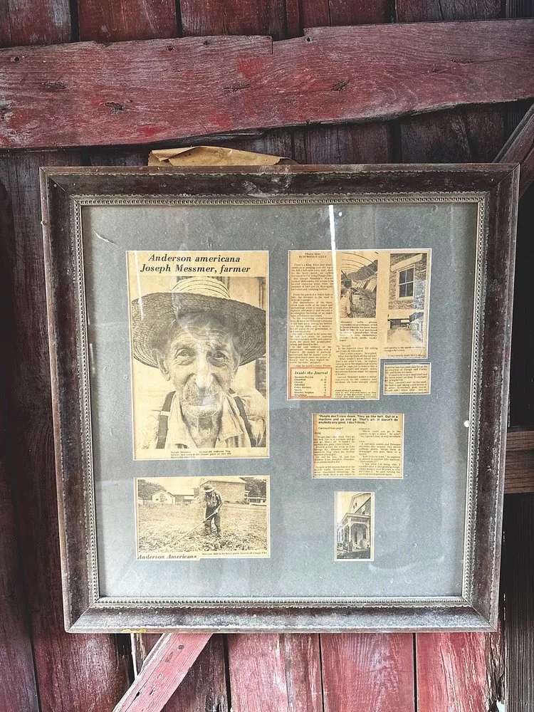 Custom outdoor landscaping in Cincinnati, OH - Native Roots