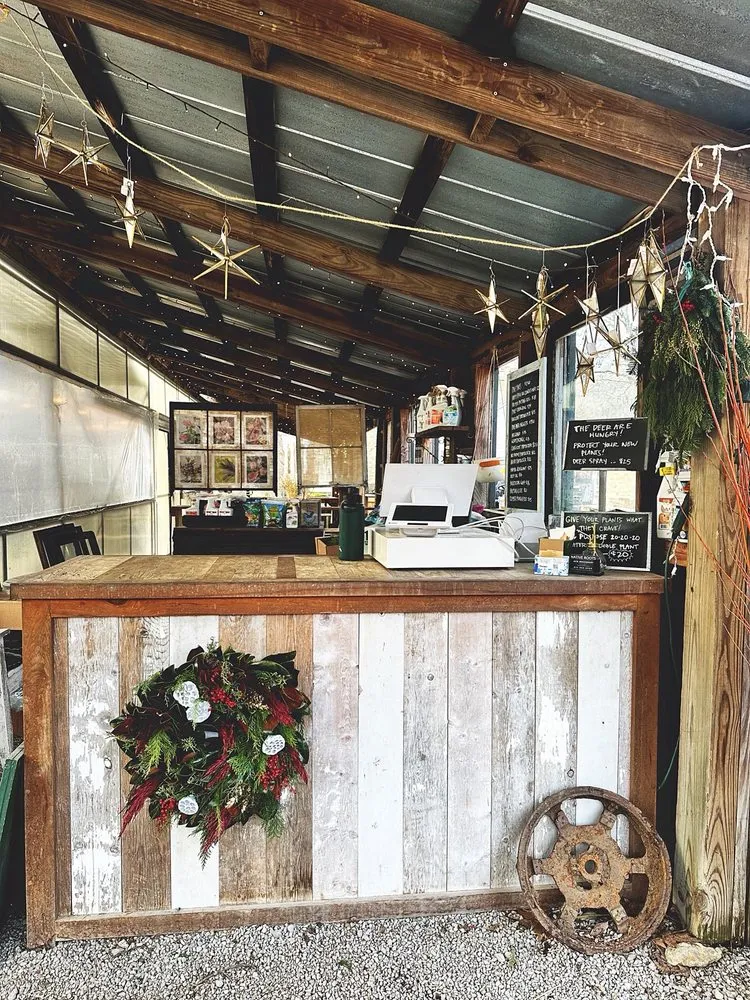 Reliable outdoor landscaping in Cincinnati, OH by Native Roots