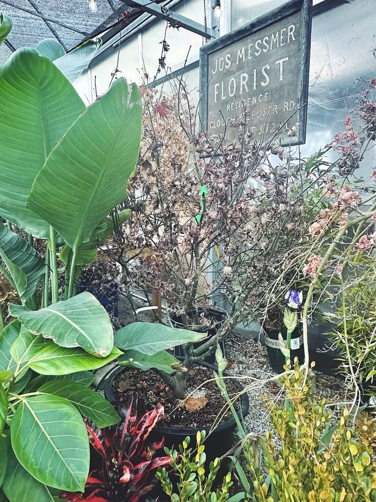 Reliable lawn mowing service for beautiful yards in Cincinnati, OH by Native Roots