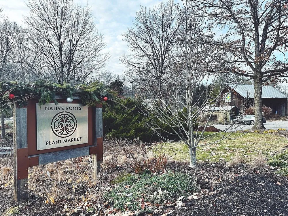 Custom landscape installation in Cincinnati, OH by Native Roots