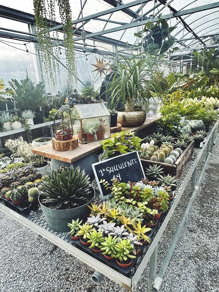 Top-rated landscape installation experts serving Cincinnati, OH - Native Roots