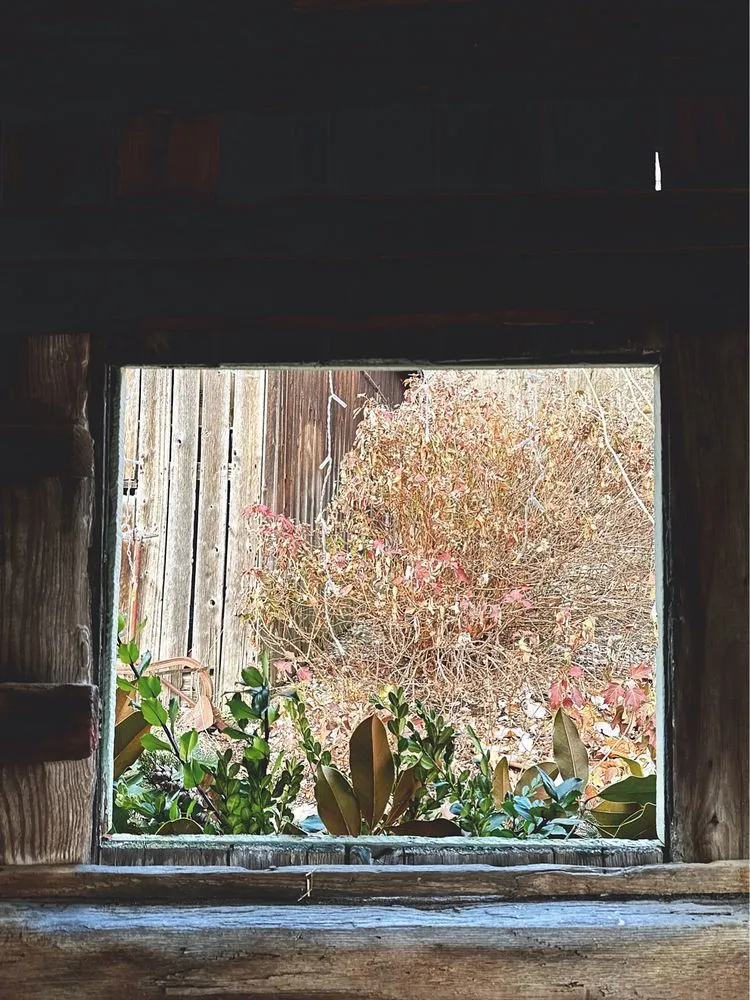 Top-rated outdoor landscaping for beautiful yards in Cincinnati, OH by Native Roots