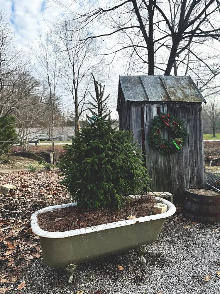 Top-rated landscape installation in Cincinnati, OH - Native Roots