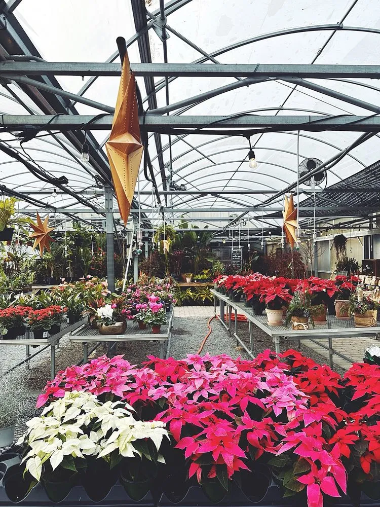 Reliable lawn care service in Cincinnati, OH by Native Roots