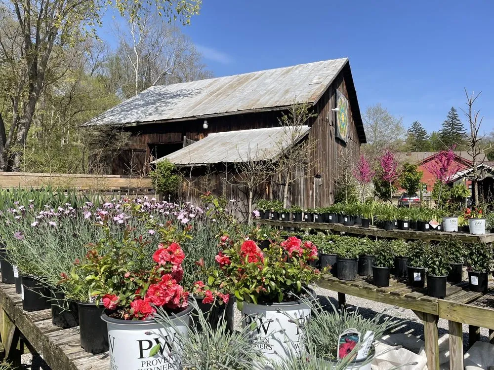 Local landscape design experts serving Cincinnati, OH - Native Roots