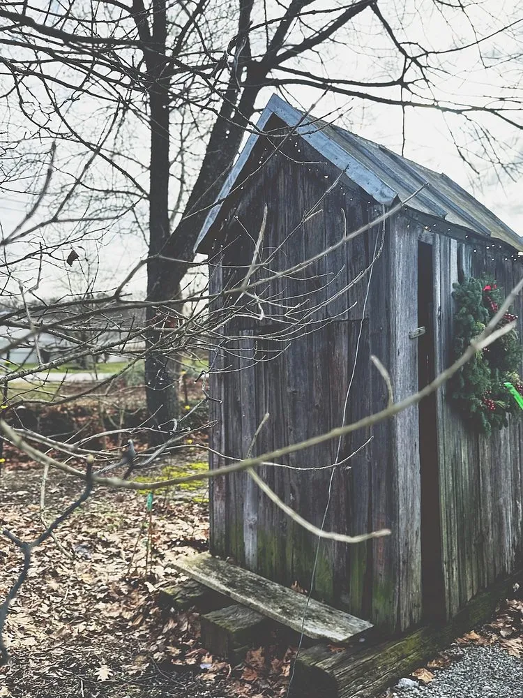 Affordable lawn care service in Cincinnati, OH by Native Roots