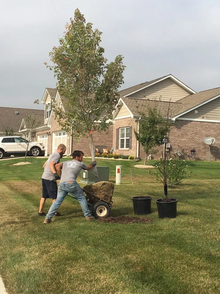 Top-rated residential landscaping experts serving Avon, IN - Native Roots Landscaping