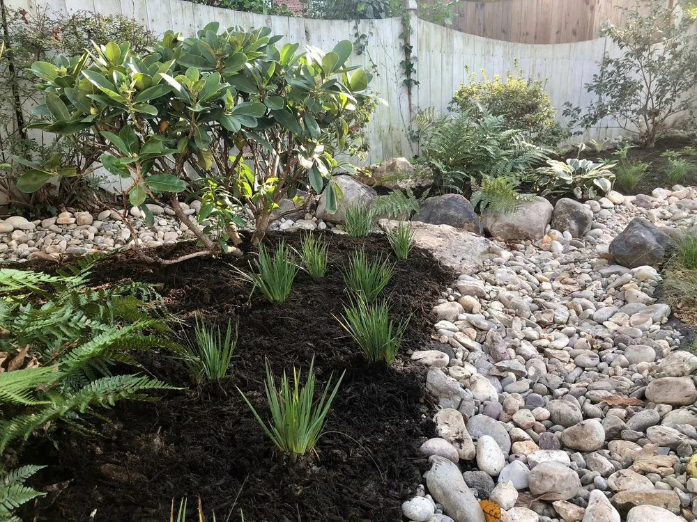 Trusted landscaping services in Washington DC, DC - Native Roots Landscaping