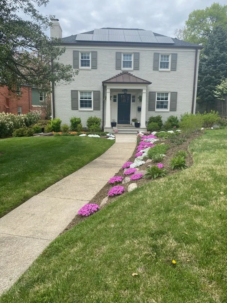 Local landscape installation for outdoor upgrades across Washington DC, DC - Native Roots Landscaping