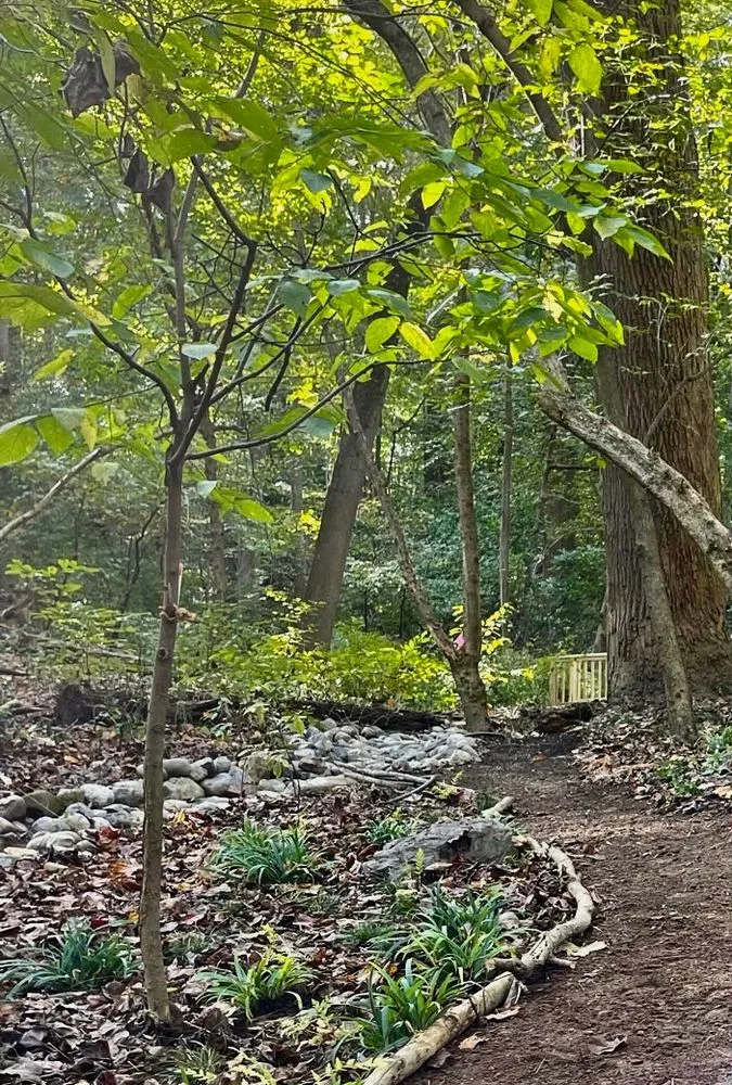 Professional outdoor landscaping near you across Washington DC, DC - Native Roots Landscaping