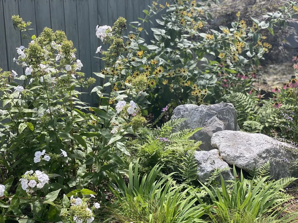 Top-rated garden landscaping in Washington DC, DC by Native Roots Landscaping