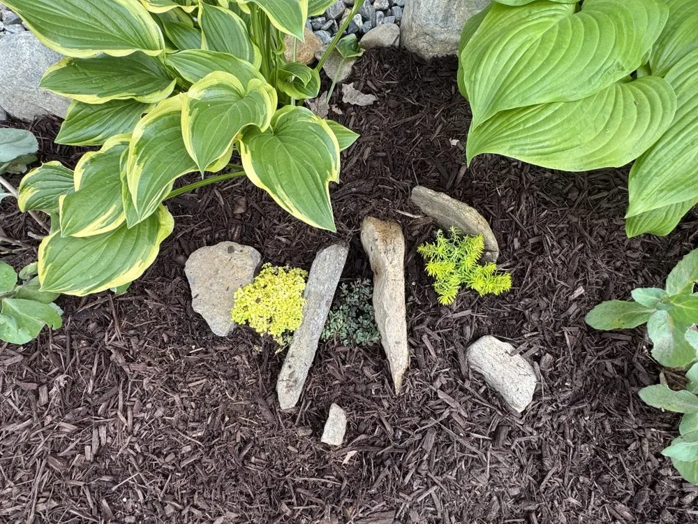 Affordable landscape installation with custom design in Windham, CT by Native Roots Landscaping