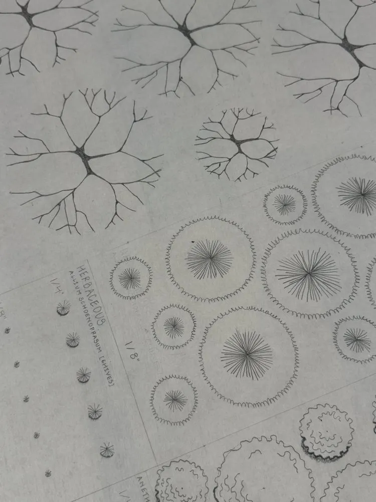 Affordable landscape design experts serving Windham, CT - Native Roots Landscaping