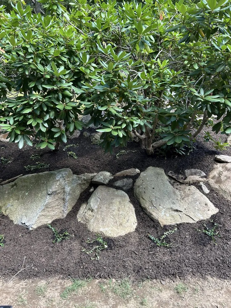 Affordable landscape design in Windham, CT by Native Roots Landscaping