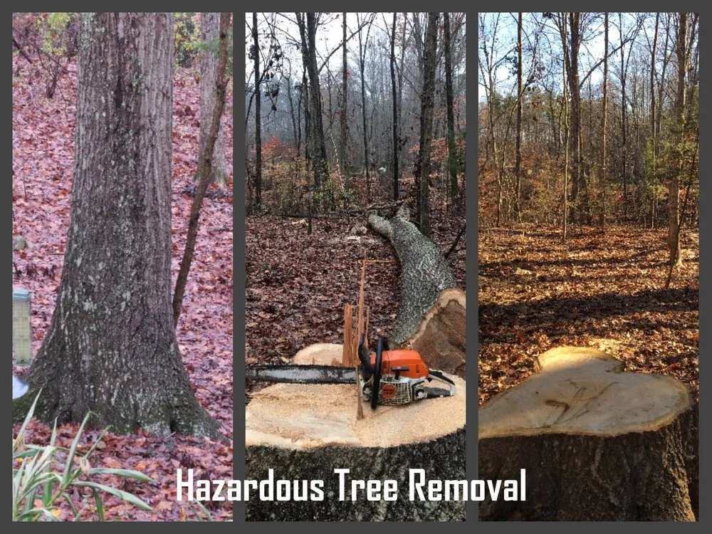 Reliable landscape installation in Asheville, NC by Native Roots NC