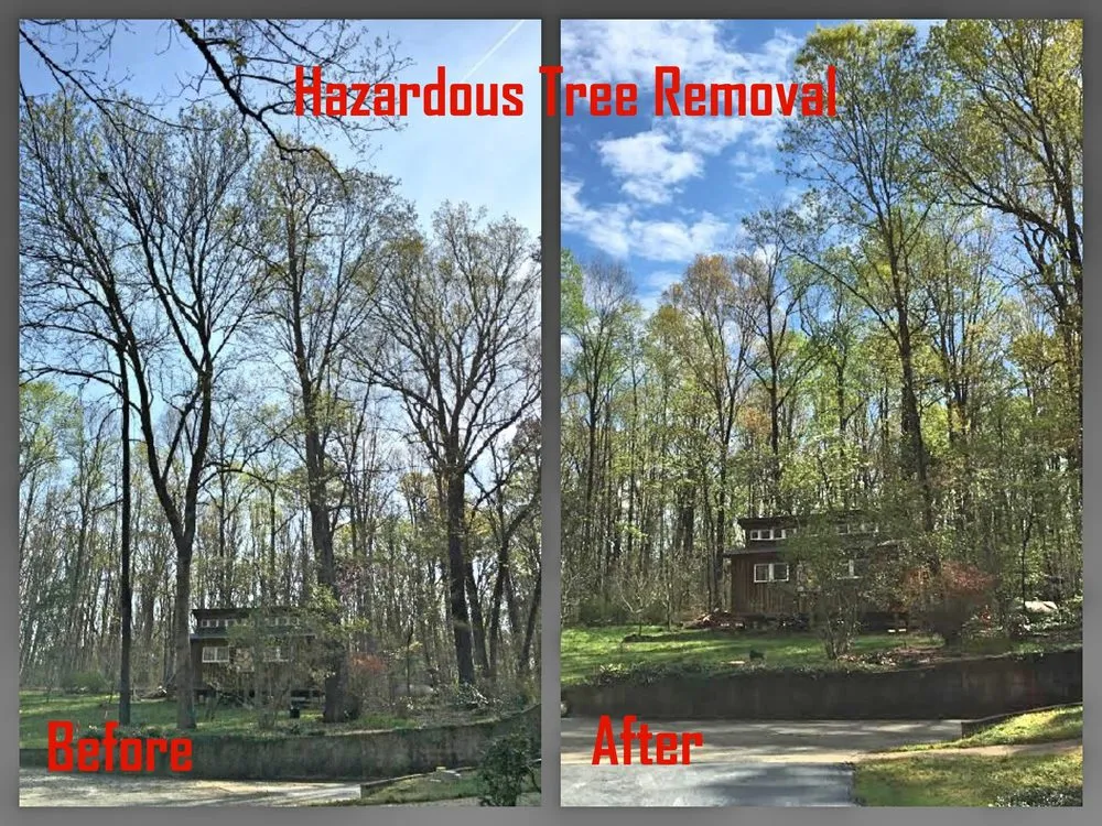 Local outdoor landscaping experts serving Asheville, NC - Native Roots NC