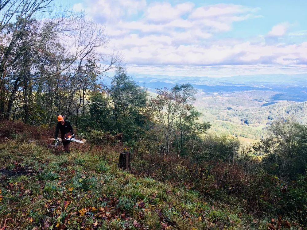 Top-rated landscape installation for year-round maintenance in Asheville, NC by Native Roots NC
