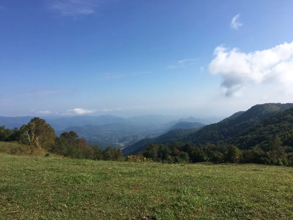Trusted landscape installation in Asheville, NC by Native Roots NC
