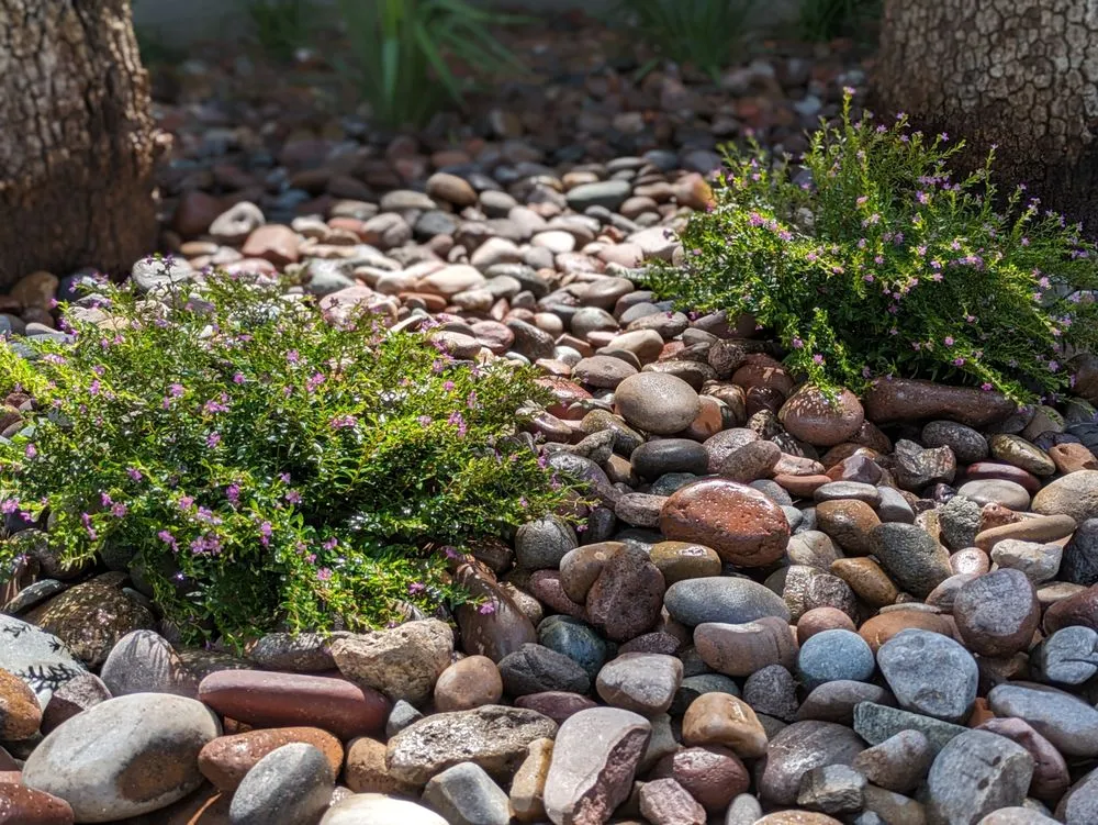 Trusted residential landscaping near you in Austin, TX by Native Scenery Landscapes