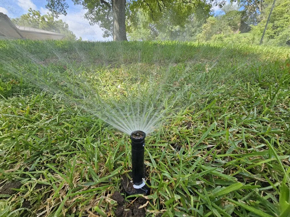 Trusted residential landscaping in Austin, TX by Native Scenery Landscapes