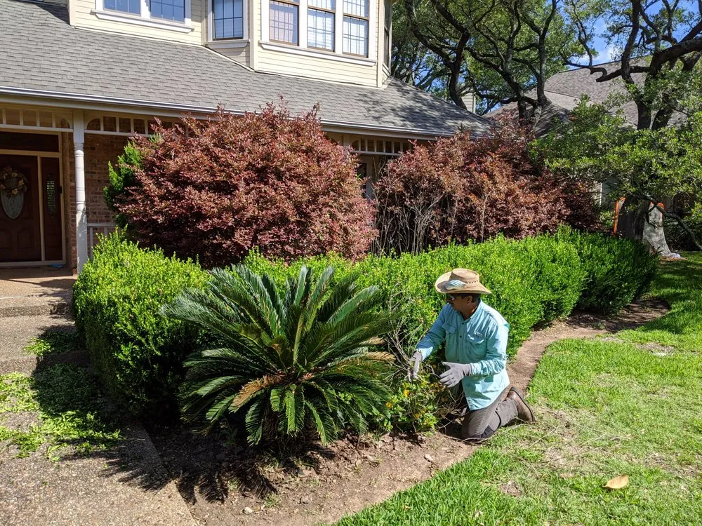 Local lawn mowing service near you across Austin, TX - Native Scenery Landscapes