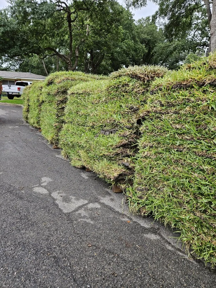 Trusted outdoor landscaping in Austin, TX - Native Scenery Landscapes