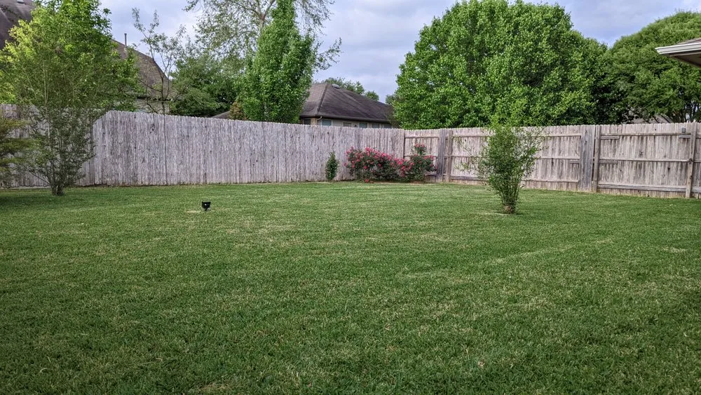 Professional garden landscaping for homes in Austin, TX by Native Scenery Landscapes